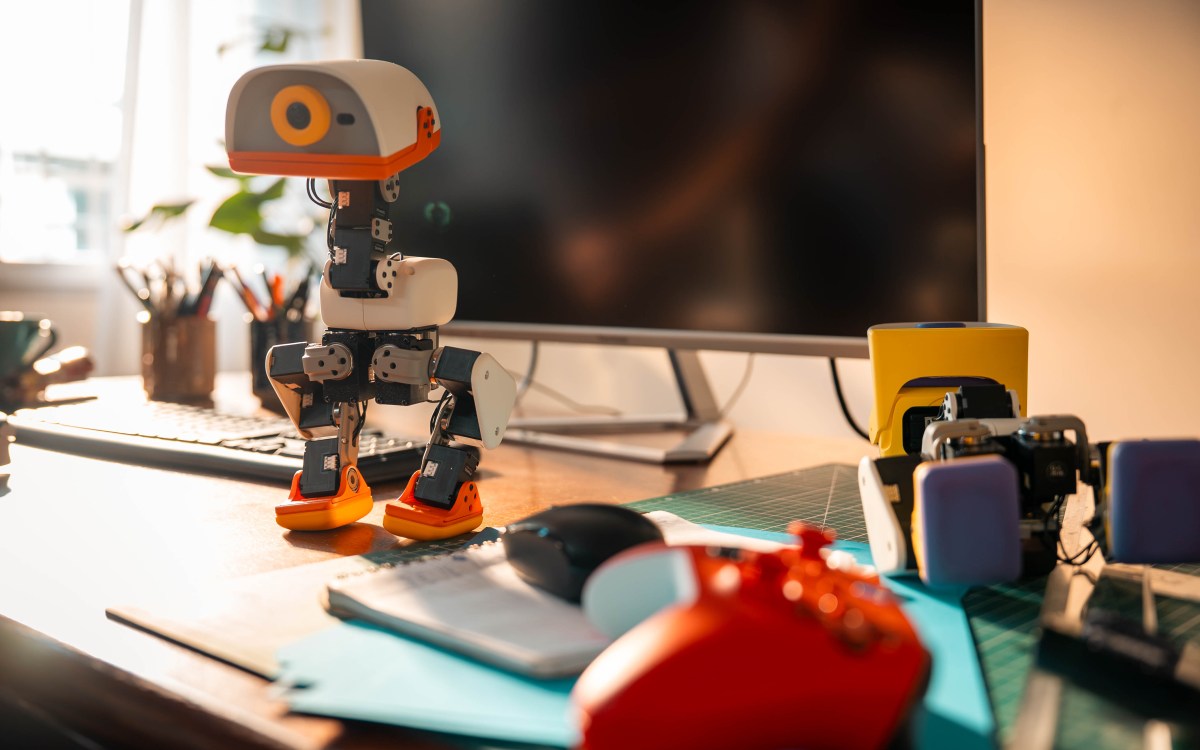 Hugging Face Is Selling a $399 Open Source Duck Robot