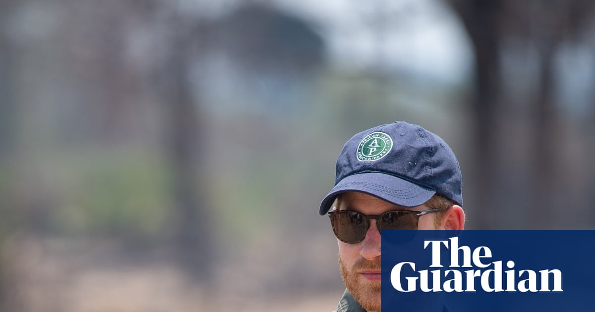 Prince Harry Leaves African Parks Board After Rangers' Abuses