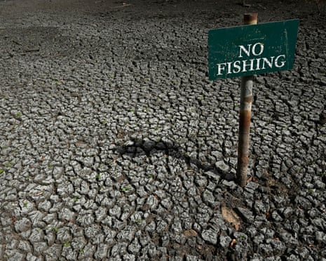 A dried-up pond with cracked earth