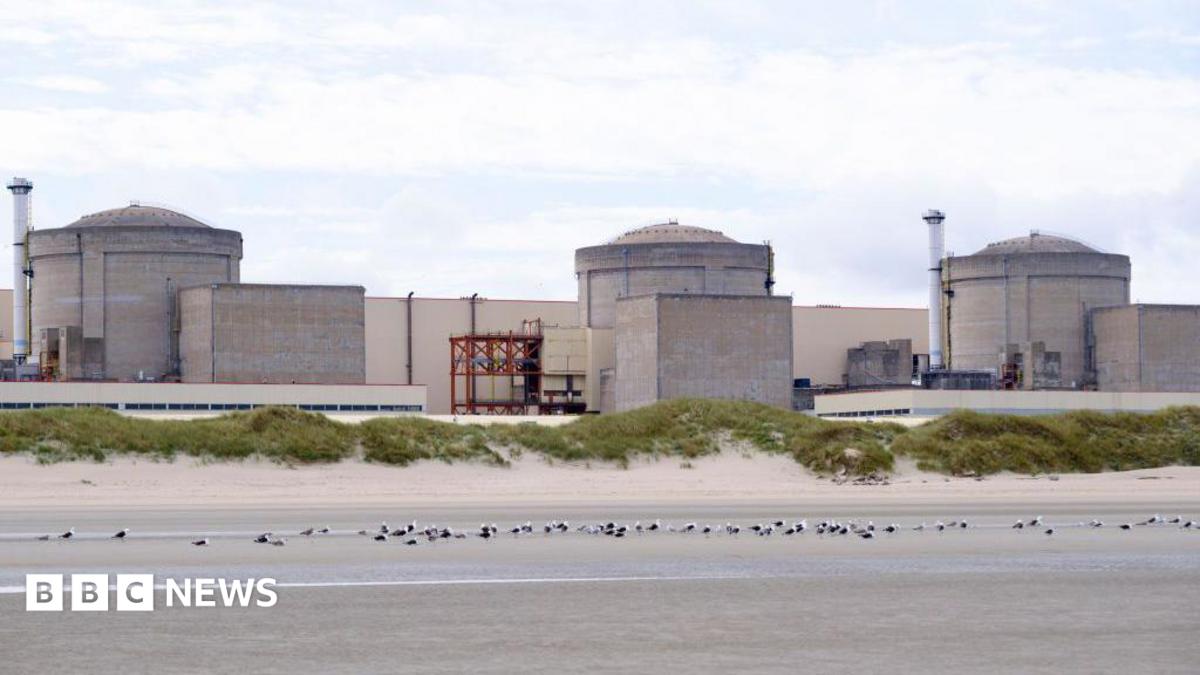 Jellyfish Have Shut Down Half of France's Biggest Nuclear Plant
