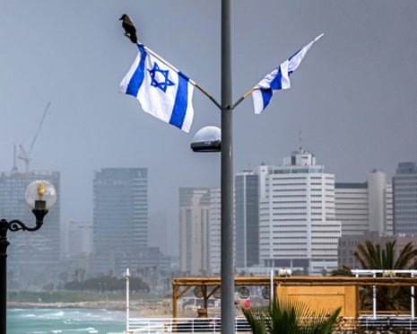 A crow perched on an Israeli flag near a beach